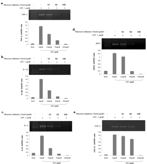 Figure 2. Effect of hexane soluble fraction of Viburnum dilatatum Thunb. on the mRNA expression of TNF- α, IL-1β,  IL-6, iNOS and COX-2 in LPS stimulated RAW 264.7 cells.