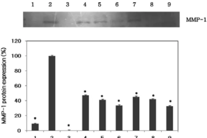 Figure 4. Effect of  Carex humilis  extract and  α-viniferin  on  the  production  of  MMP-1  protein