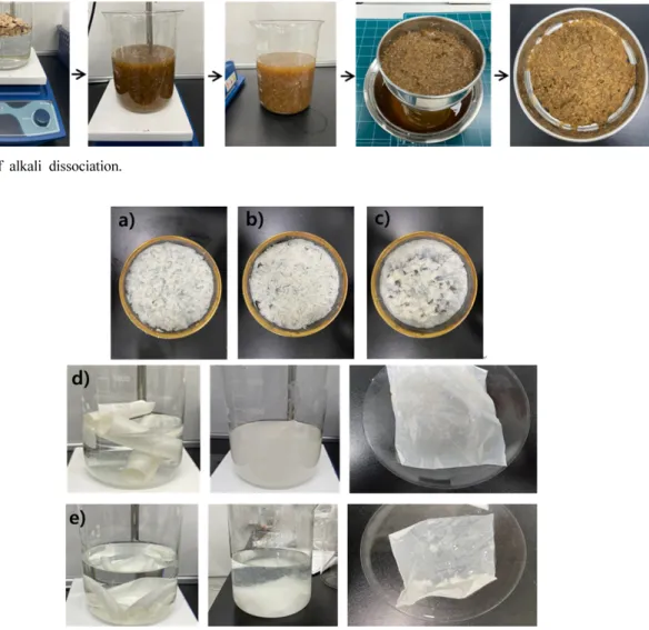 Fig. 5. Images for alkali dissociation of samples: a) KL, b) KP, c) KPE, d) PP, e) PPEFig