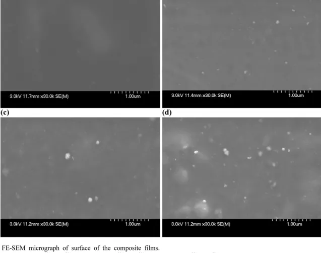 Fig. 1. FE-SEM micrograph of surface of the composite films.