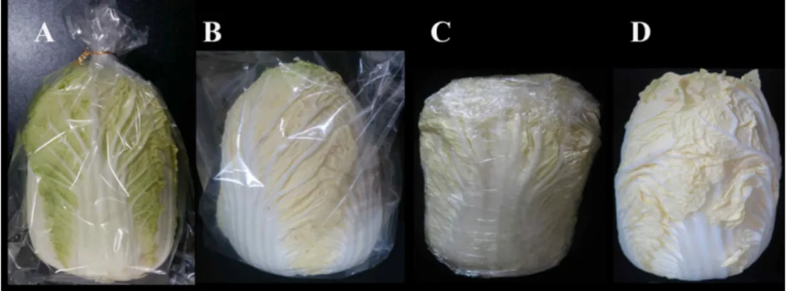 Fig. 1. Three packaging methods on Korean head cabbage and no packaging for control.