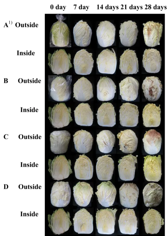 Fig. 4. Changes in the appearance of Korean head cabbage as affected by different packaging methods used during 28 days of storage at 10 o C.