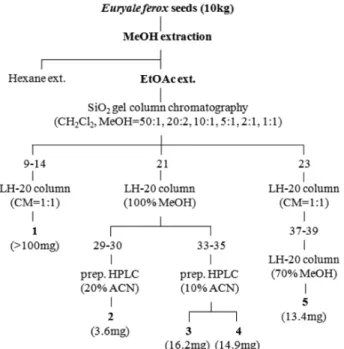Figure  1.  Isolation  procedure  of  compounds  1  ∼  5  from  Euryale ferox.