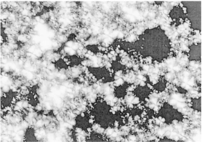 Figure  4.  Partial  ternary  phase  diagrams  of  Ceramide  PC104/CholEO20/water E: emulsion, M: micellar phase.