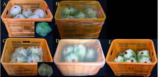Fig. 3. Changes in fresh weight loss of lettuce packaged with different methods during storage at 2 o C