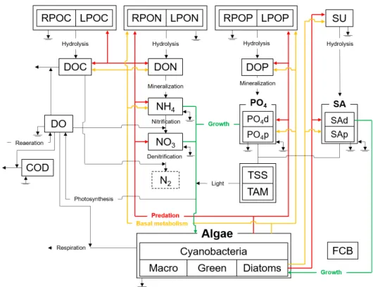 Fig. 2. The water quality interactions of the EFDC model (Kim et al., 2017)