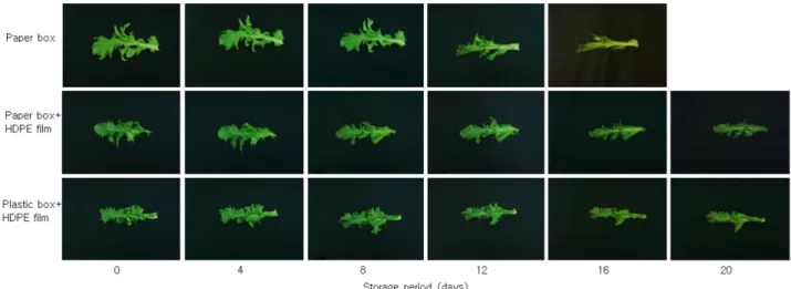 Fig. 9. Changes in the freshness index of endive packaged by different packaging types during storage at 2 o C