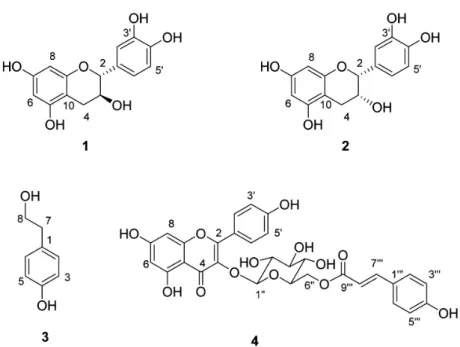 Figure 1. Structures of compounds isolated from  Q. gilva .