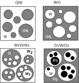 Figure 1. Schematic diagram of emulsion types (W, W 1 , W 2