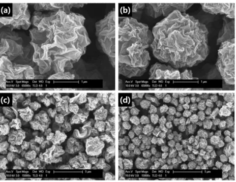 Fig.  1.  FE-SEM  images  of  the  (a,c)  GB  and  (b,d)  PGB.
