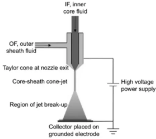 Fig.  1.  Schematic  representation  of  basic  setup  for  standard electrospray (Reprinted (adapted) with permission  from  (Luo  and  Edirisinghe,  2014)