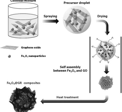 Fig.  1.  Schematic  illustration  of  the  formation  of  Fe 3 O 4 /GR  composites  from  colloidal  mixture  of  Fe 3 O 4