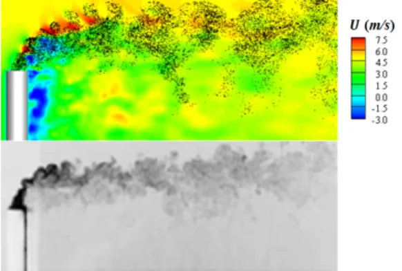 Fig.  16.  Comparison  between  the  present  simulation  for  the  case  of   ∞       and  the  experiment  for  the  case  of   ∞      