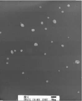 Figure 1. The TEM image of Au nanoparticles by citrate   reduction.