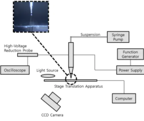 Fig. 1. A schematic diagram of the experimental setup
