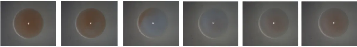 Fig. 3.  An example of RGB analysis from the captured movie