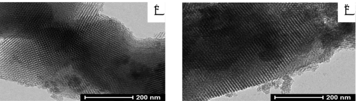 Fig.  1.  Transmission  electron  micrographs  of  bimodal  supports  (a)  bimodal1  (b)  bimodal2.