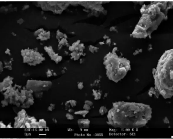 Fig.  3.  SEM  image  of  raw  dust  (×5000).