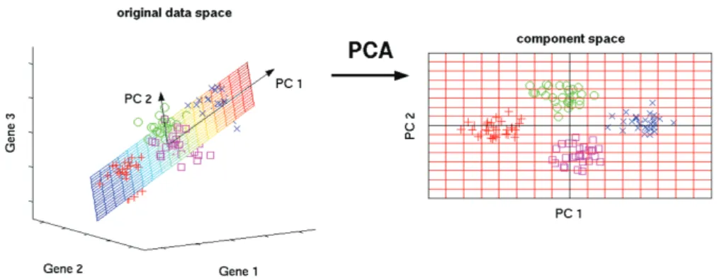 Fig. 1. Transformation model of principal component analysis (PCA). 7)