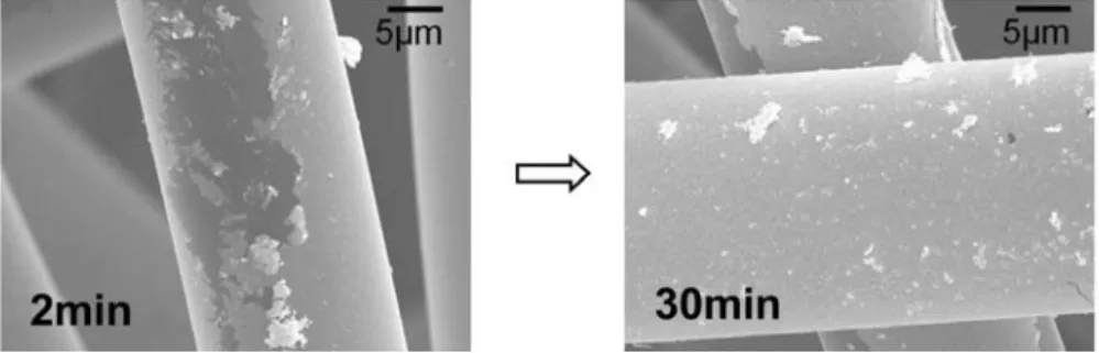Figure 3 shows SEM micrographs of conventionally activated (wet chemical process) and aerosol-activated ACFs