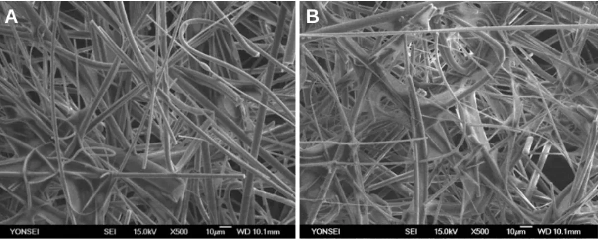 Figure 2. Scanning electron microscope images of test filters.