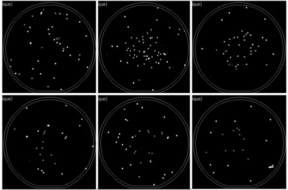 Figure 9. Measured particle deposition map on the uncharged wafer (from top left to bottom right 83, 100, 150, 200, 300, 495 nm).