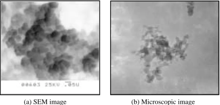 Figure 2.  PM image emitted from diesel engine.