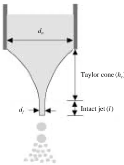 Figure 1. Schematic of cone-jet mode atomization.