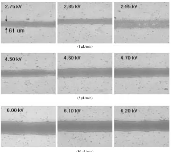 Figure 5. Magnified images of ceramic patterns.