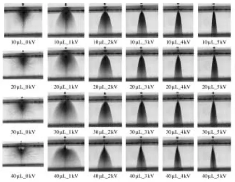 Figure 7. Spray visualization of single nozzle (h : 25 mm).