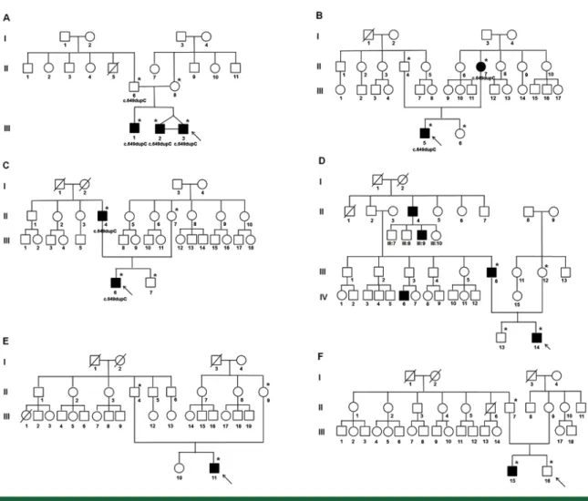 Fig. 1.  Pedigrees of six paroxysmal kinesigenic dyskinesia (PKD) families. Pedigrees A, B, C, and D represent familial PKD, and pedigrees  D and E are for sporadic PKD