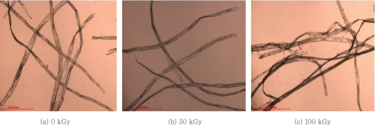 Fig. 3. Microscopic images of UKP fibers disintegrated by a laboratory disintegrator as a function of the  irradiation dose of electron beam (×40)