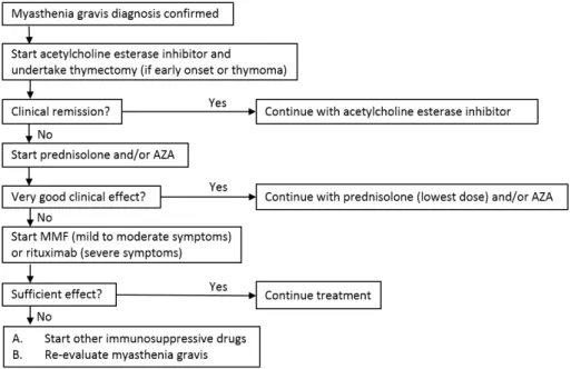 Fig. 2. Treatment of generalized myasthenia gravis. AZA, azathioprine; MMF, mycophenolate mofetil.