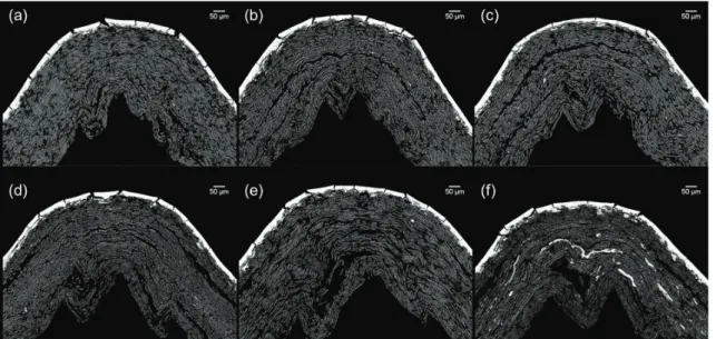 Fig. 8. Cross-sectional images of coated multiply-board after creasing and folding: (a) 1-ply, (b)  2-ply, (c) 3-ply, (d) HHH, (e) HBH, (f) HOH.