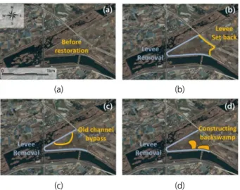 Fig. 3. Scenario of river area restoration