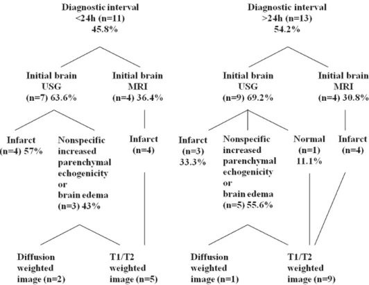 Fig.  3.  Comparison  of  neuroimaging  between  the  early  and  late  diagnostic  groups.