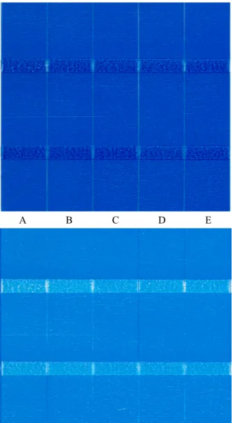 Fig.  10.  Image  of  RI  printed  samples.