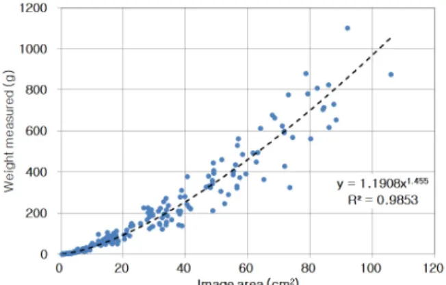 Fig. 4. Relationship between image area and weight of riverbed  gravels