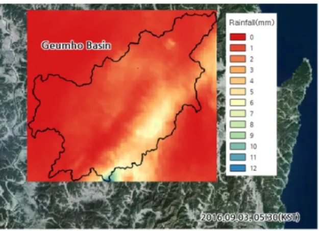 Fig. 3. Radar rainfall data at maximum rainfall
