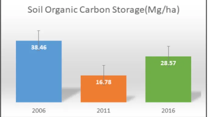 Figure 6. Amount of soil organic carbon storage by greening year