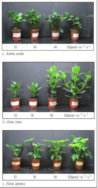 Figure 2. Change of plant height as affected by light intensity for 120 days. Vertical bar means standard error(n=3).