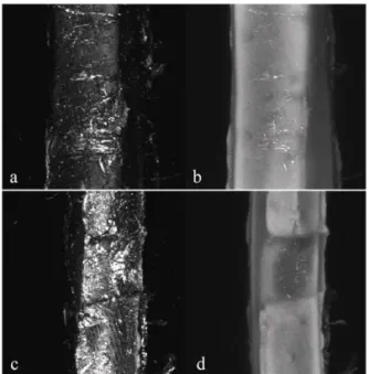 Fig.  4.  Morphology  of  TMP  fiber  by  CRM  (a,  c)  and  CLSM  (b,  d).  The  CRM  micrographs  showed  more  surface  details  than  the  CLSM micrographs