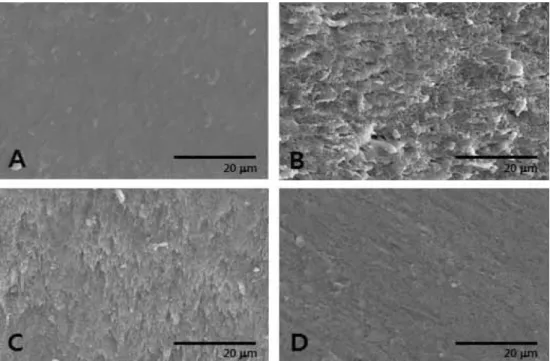 Figure 3 shows the enamel surfaces of the specimen observed by SEM after application of fluoride in the four different conditions