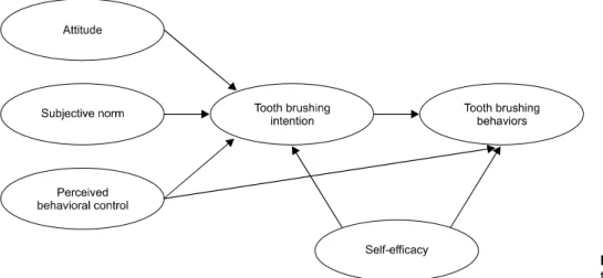 Fig.  1.  Study  model  based  on  the  theory  of  planned  behavior.