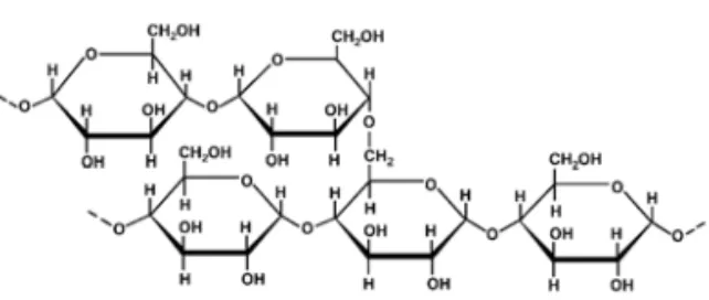 Fig. 2. The structure of amylopectin(α-1,4 linked and  α-1,6 linked glucose unit). 3)