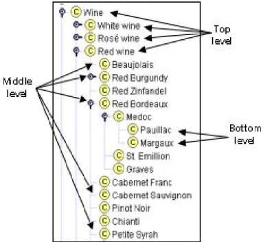 그림  2.  여러  수준의  Wine  택사노미:  Wine,  Red  wine,  White  wine,  Rosé  wine은  상대적인  일반  개념으로  최상위  수준이다