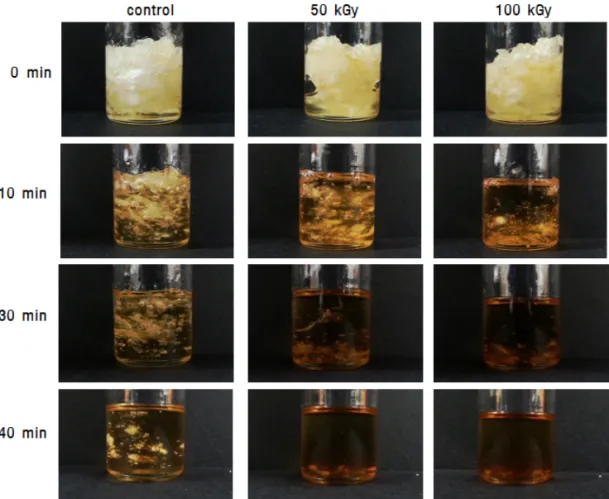 Fig.  7.  Effects  of  electron  beam  treatment  on  the  dissolution  of  cotton  pulp  by  ionic  liquid  Me.