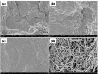 Fig.  1.  FE-SEM  images  of  surface  of  nanofibrillated  cellulose  mat  prepared  with  the  different  drying  methods:  (a)  drying  at  room  temperature,  (b)  oven-drying,  (c)  freeze-drying,  and  (d)  solvent  exchange  (×20,000)