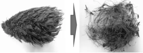 Fig. 1. Oil Palm EFB and shredded EFB fibers.상대적으로 제한이 커지고 있기 때문에 향후 안정된 목질자원 확보 및 수급은 점차 중요한 이슈가 되고 있다.최근 점차 증가하는 목질자원 수요에 대응하고 부족한 목질자원을 대체하고자 다양한 비목질 바이오매스 자원에 대한 관심이 커지고 있는데, 특히 동남아 국가를 중심으로 상당한 양으로 발생되는 팜오일 제조공정의 부산물인 오일팜 바이오매스는 새로운 대체자원으로 관심의 대상이 되고 