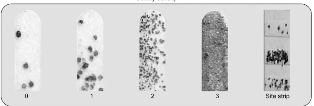 Fig.  1.  Changes  of  each  step  ac- ac-cording  to  colony  density.